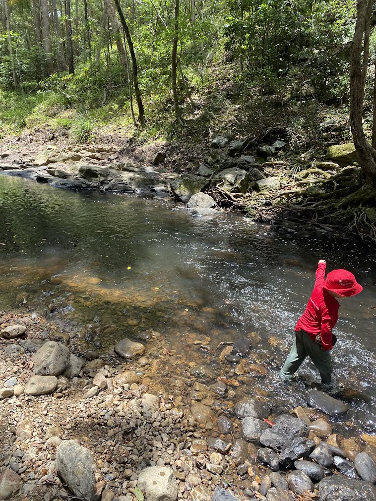A child exploring a shallow creek during an outdoor nature experience