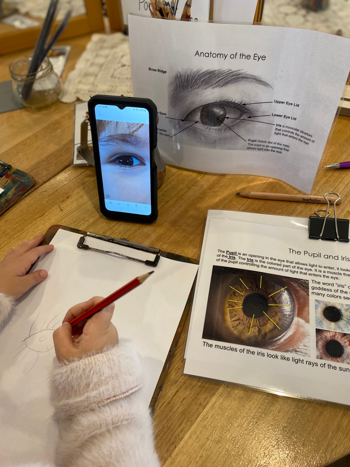 A child studying the anatomy of the eye with reference images and a sketch