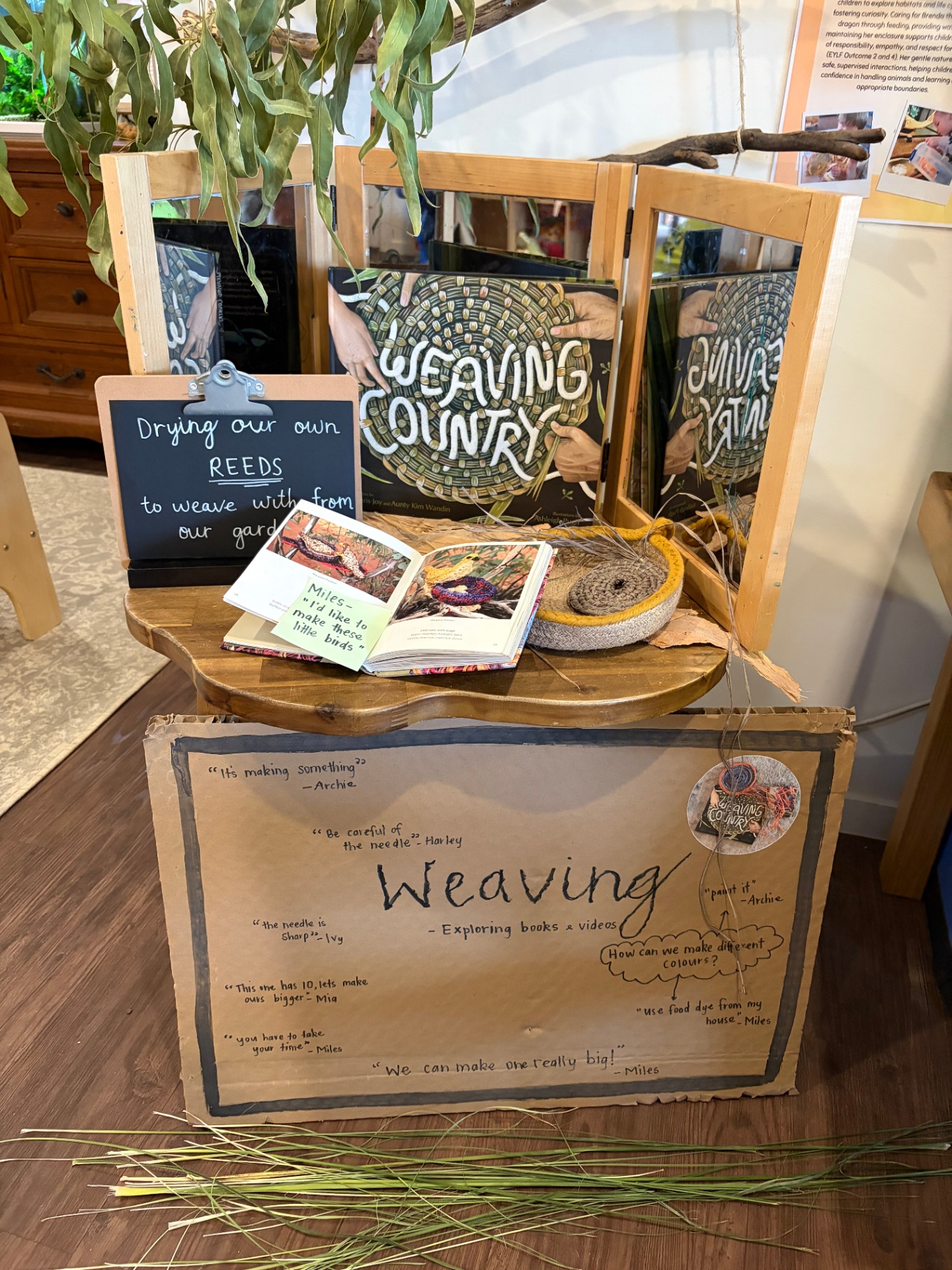 Weaving Country book and natural reeds display in the kindergarten studio