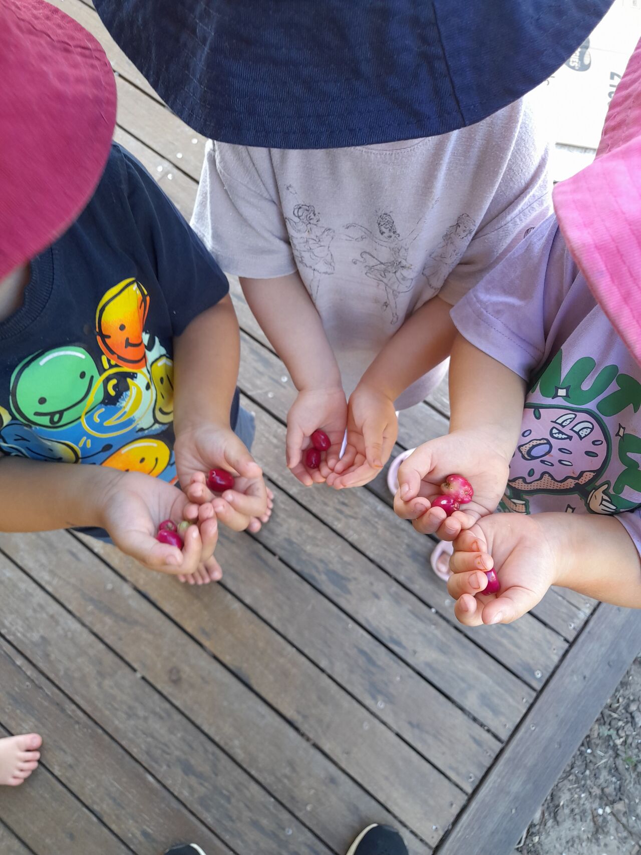 Children proudly holding freshly gathered berries during an outdoor learning moment